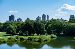 12 Hotels Near Central Park With Amazing Views