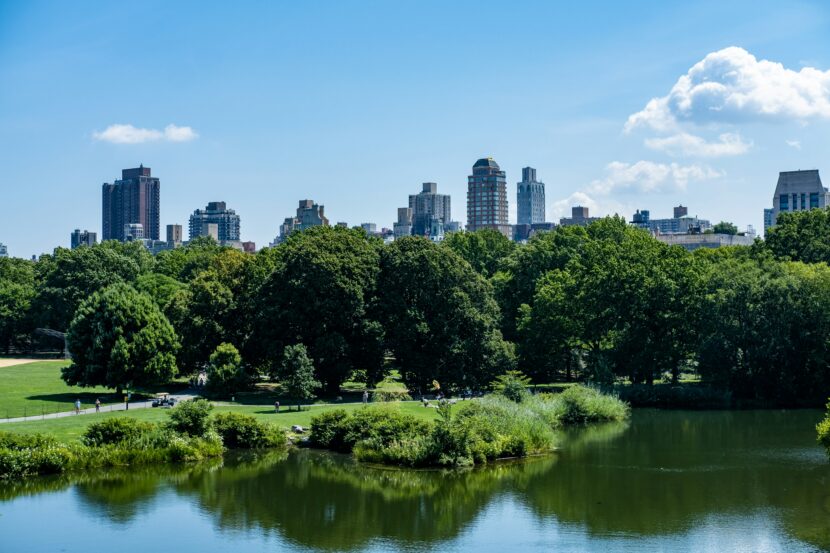 12 Hotels Near Central Park With Amazing Views
