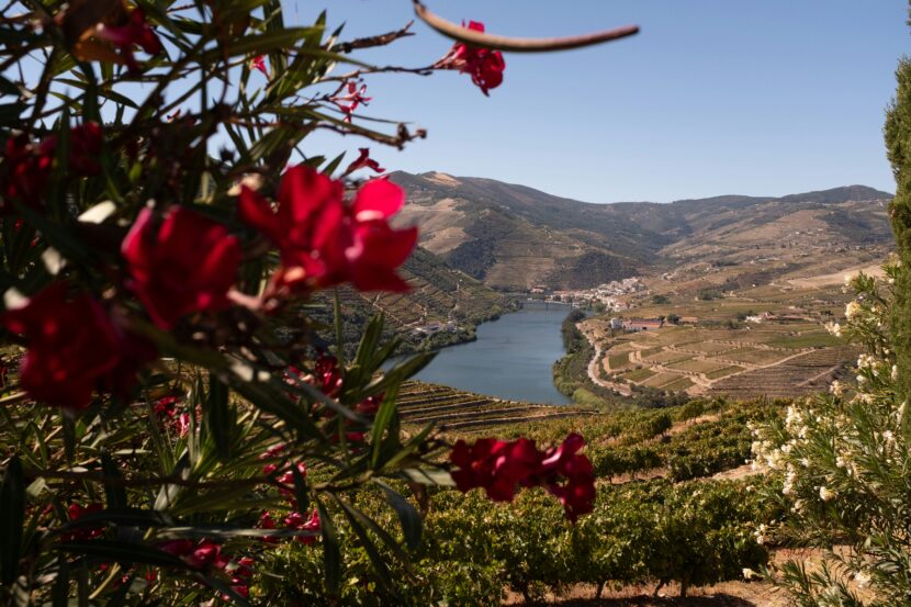 Portugal: Book Top-Rated Local Food and Wine Guides in Portugal