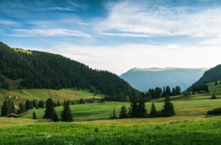 Croatia: The Ultimate Guide to Booking Local Guides for Croatia’s Coast and Islands