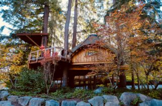Ultimate Luxury: Coastal Treehouses with Spa Facilities