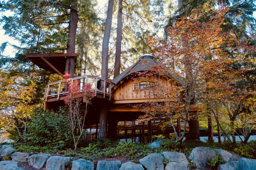 Ultimate Luxury: Coastal Treehouses with Spa Facilities