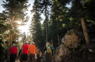 Sweden: How to Hire Affordable Local Guides in Stockholm and the Swedish Countryside