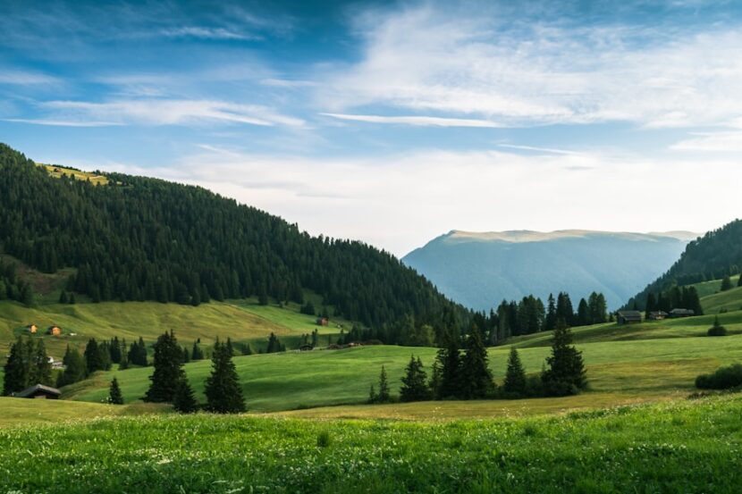 Montenegro: How to Hire the Best Local Guides for Kotor and the Montenegrin Coast