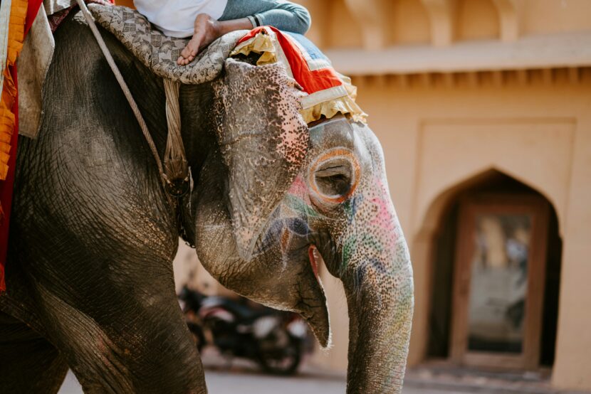 India: Don’t Visit India Without a Guide: How to Book Safe, Verified Experts