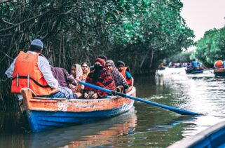 Malaysia: How To Book Top-Rated Private Tour Guides in Kuala Lumpur and Borneo