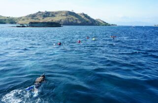 Philippines: How To Book Verified Island-Hopping and Diving Guides in the Philippines
