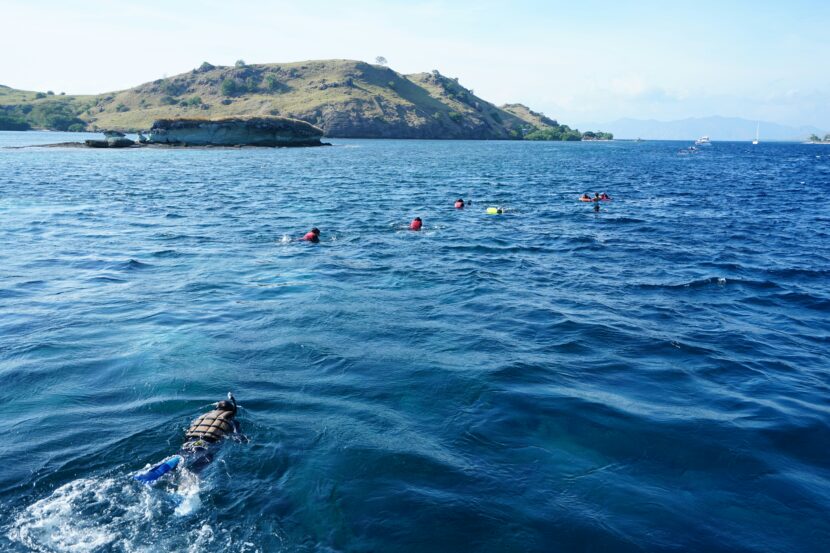 Philippines: How To Book Verified Island-Hopping and Diving Guides in the Philippines