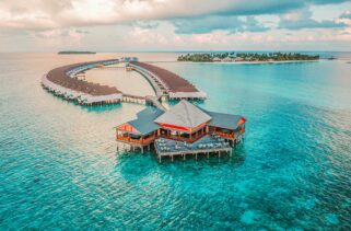 Maldives: Where To Find Luxury Private Island and Diving Guides in the Maldives