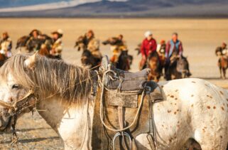 Mongolia: How To Book Top-Rated Private Nomad and Steppe Tour Guides in Mongolia