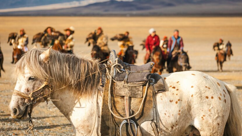 Mongolia: How To Book Top-Rated Private Nomad and Steppe Tour Guides in Mongolia