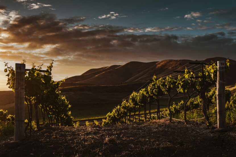 Georgia: How To Hire Affordable Local Wine and Caucasus Mountain Guides in Georgia