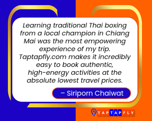 Customer-reviews-about-Taptapfly.com