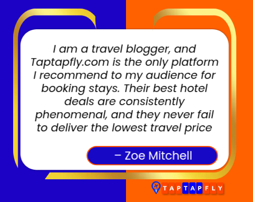 Customer reviews about Taptapflycom (7)